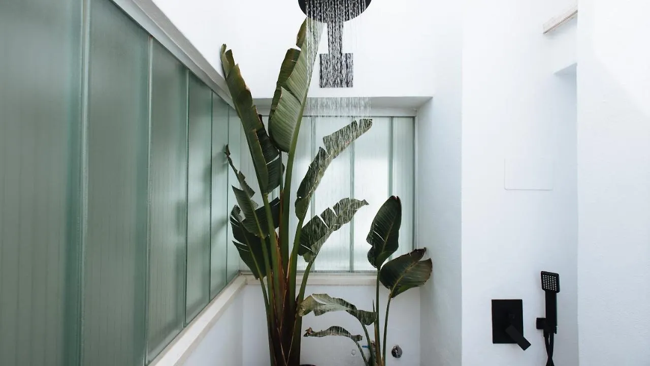 Relator Apartment Seville